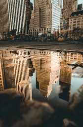 Formación profesional